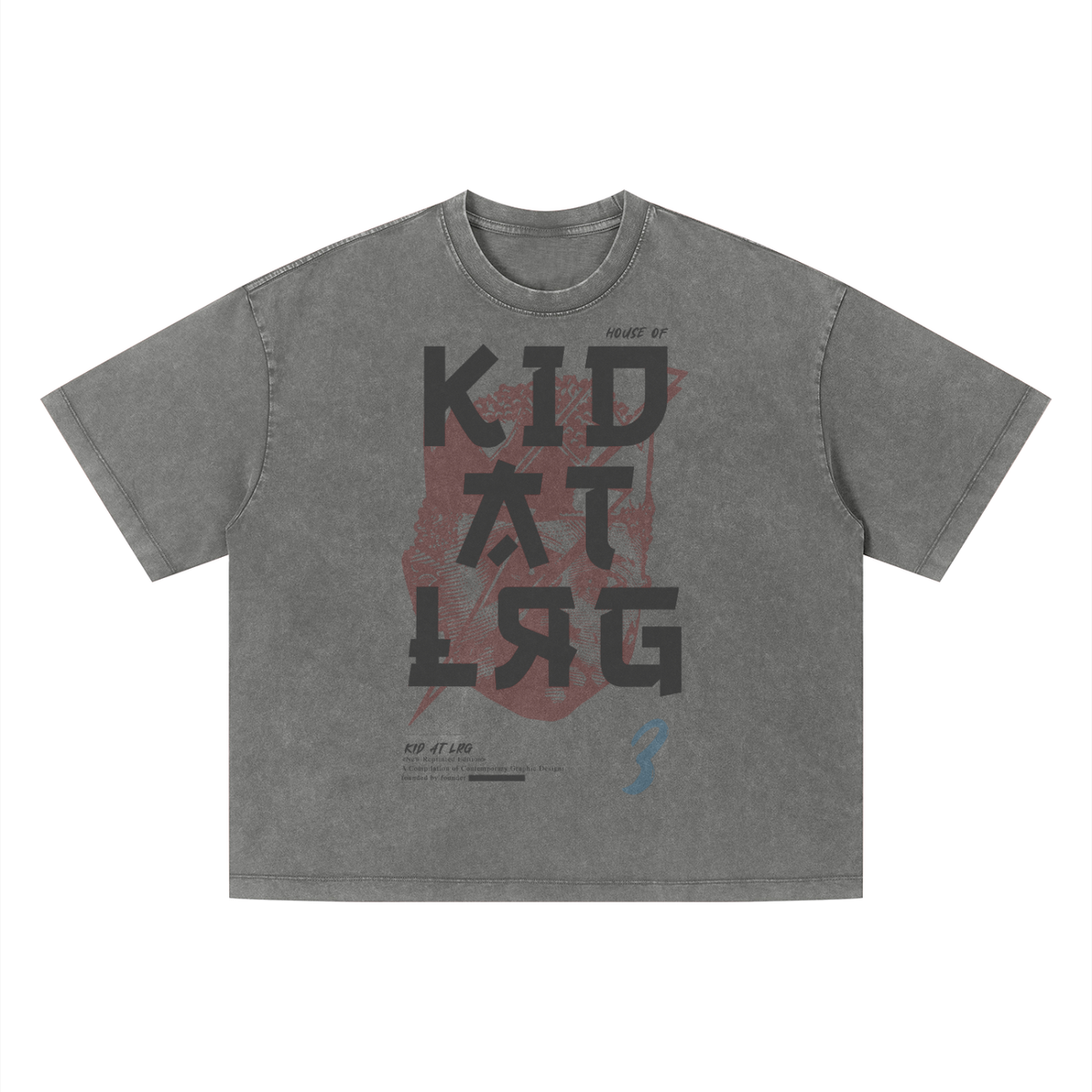 ANIME KID: Unisex Vintage Wash Boxy T-Shirt