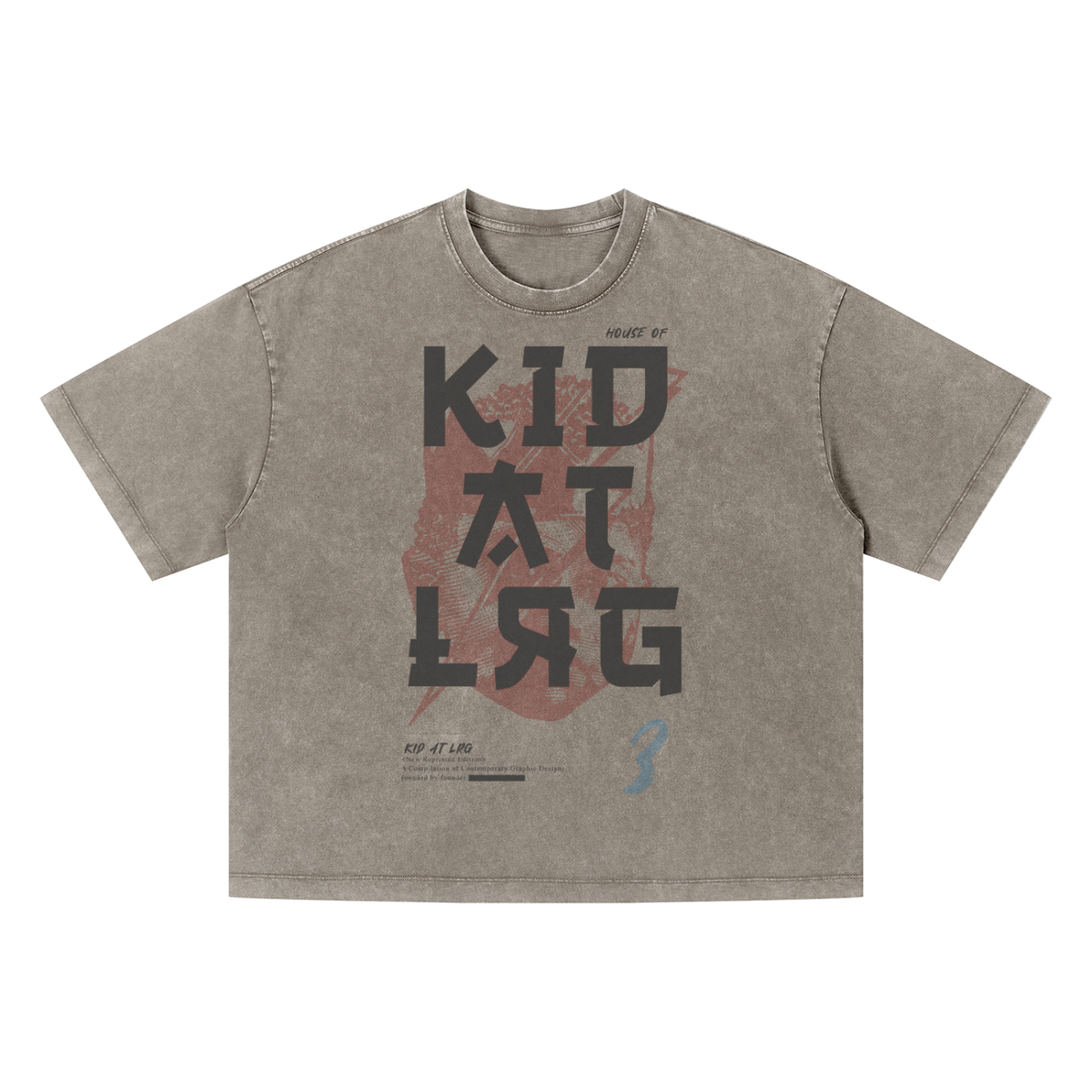ANIME KID: Unisex Vintage Wash Boxy T-Shirt