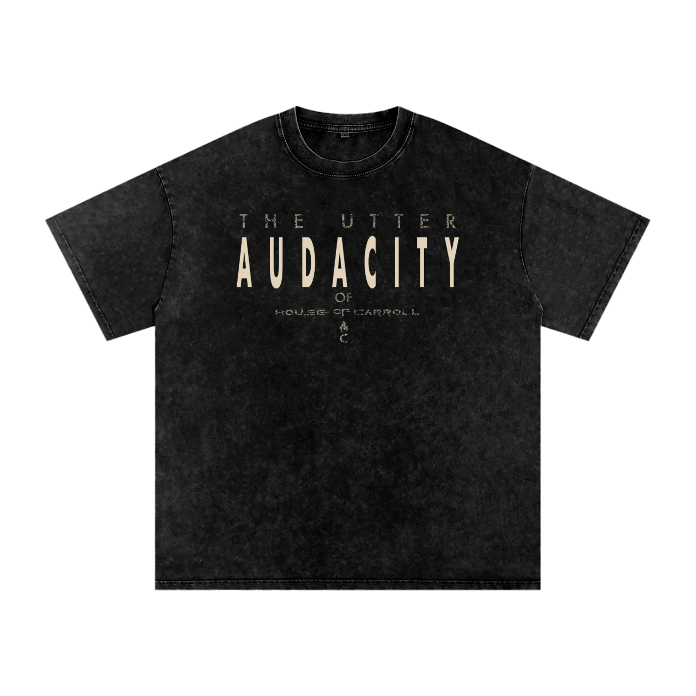 AUDACITY: Snow Washed Oversized Cotton T-Shirt
