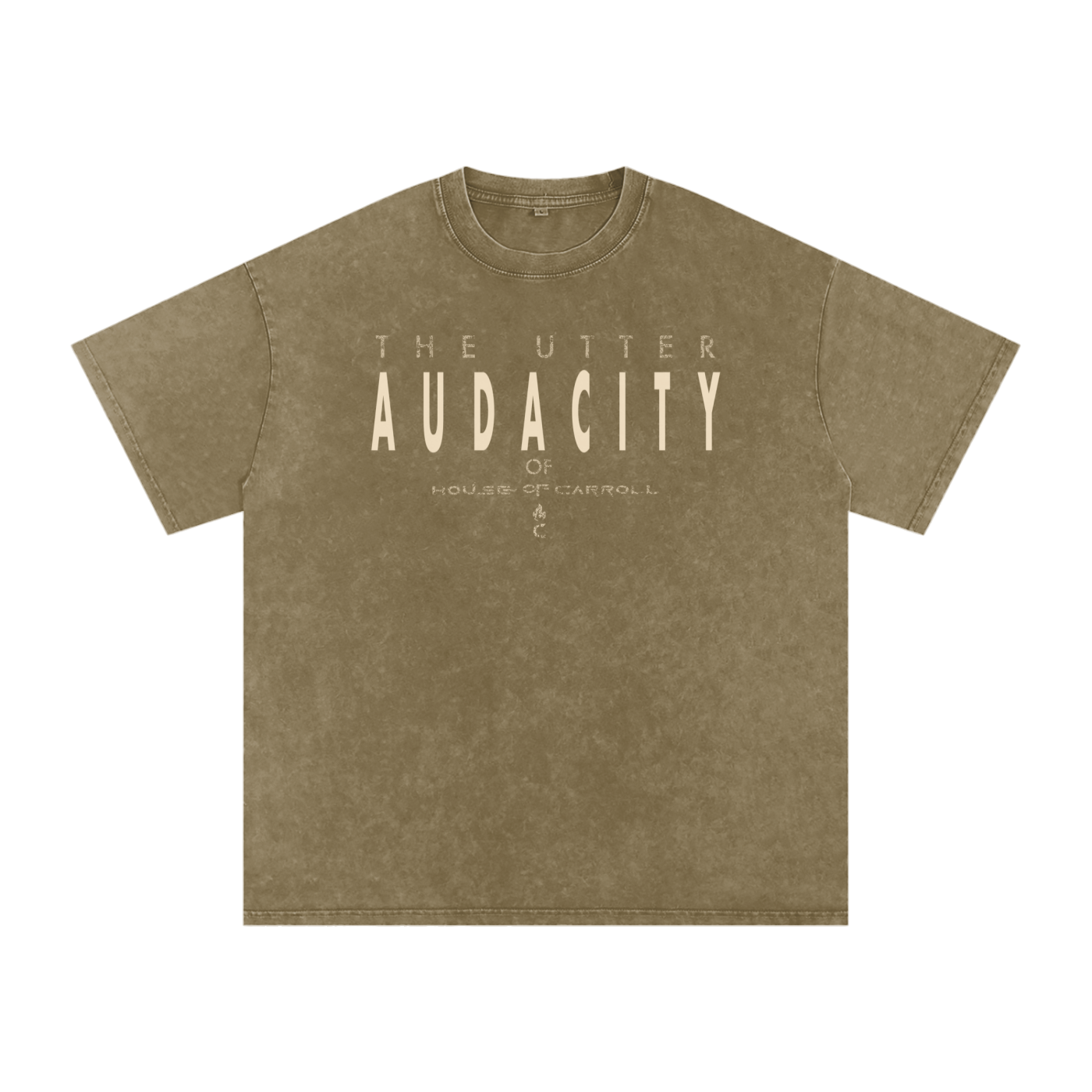 AUDACITY: Snow Washed Oversized Cotton T-Shirt