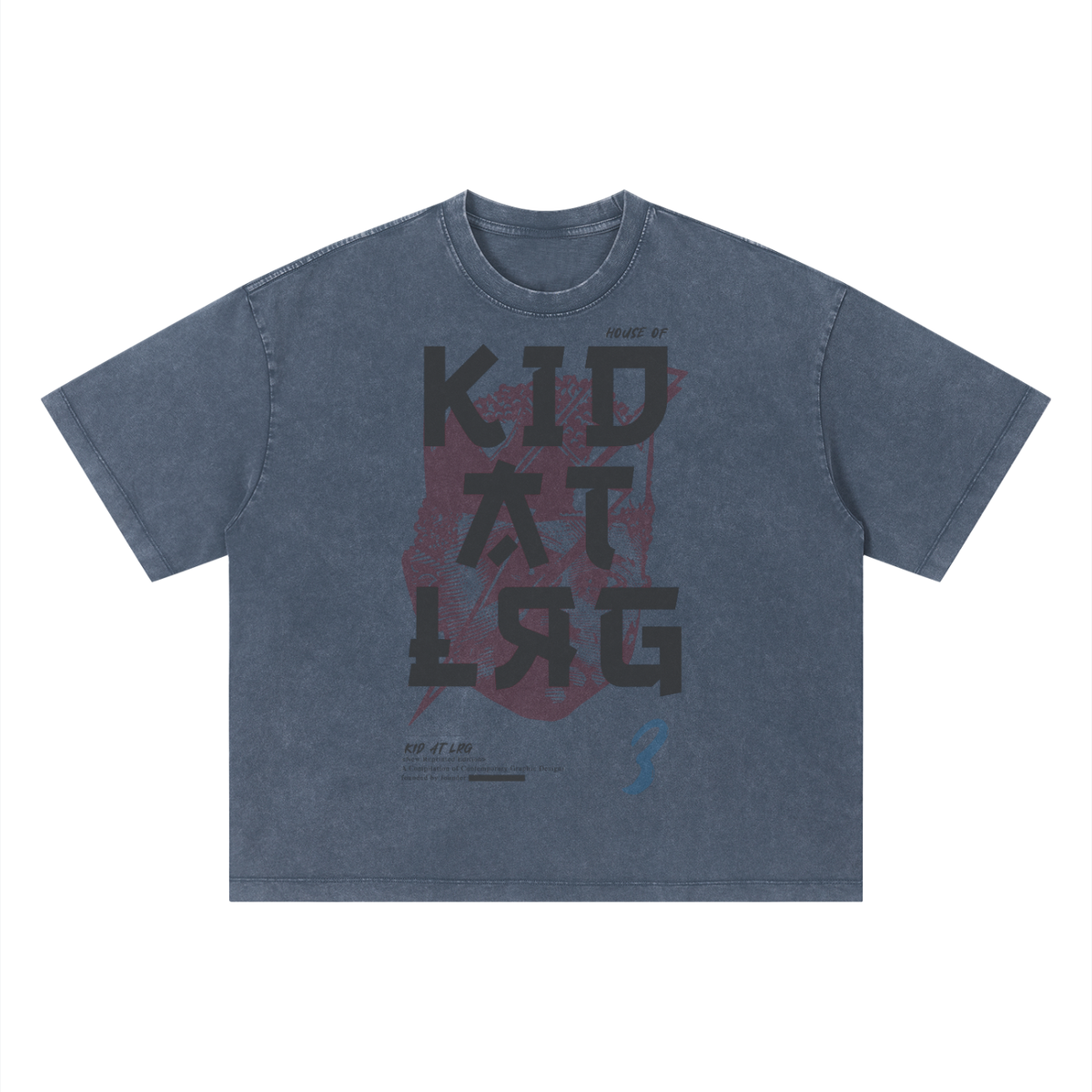 ANIME KID: Unisex Vintage Wash Boxy T-Shirt