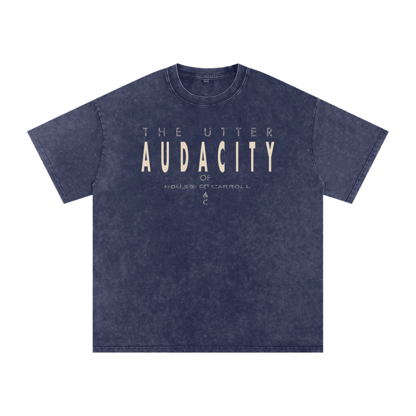 AUDACITY: Snow Washed Oversized Cotton T-Shirt