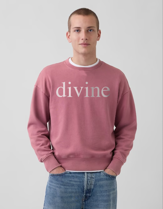 DEVINE: Vintage Washed Heavyweight Crewneck Sweatshirt