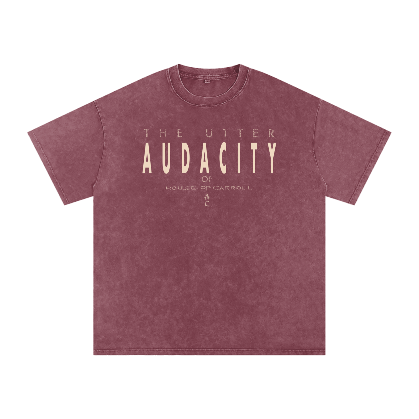 AUDACITY: Snow Washed Oversized Cotton T-Shirt